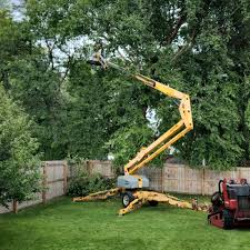  Glespie, IL Tree Removal and Landscaping Services Pros